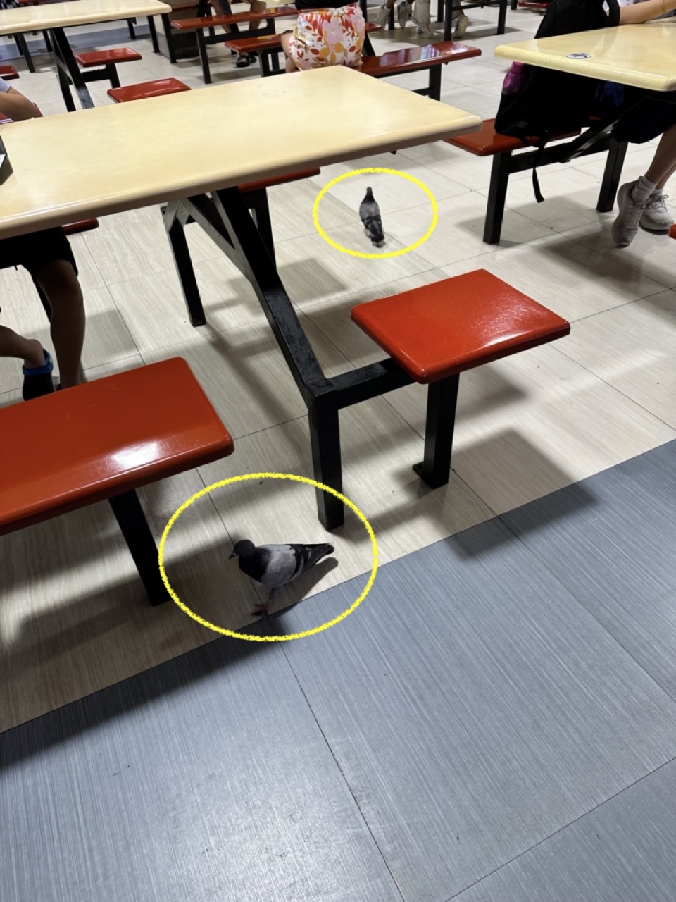 새들도 들어오는 호커센터