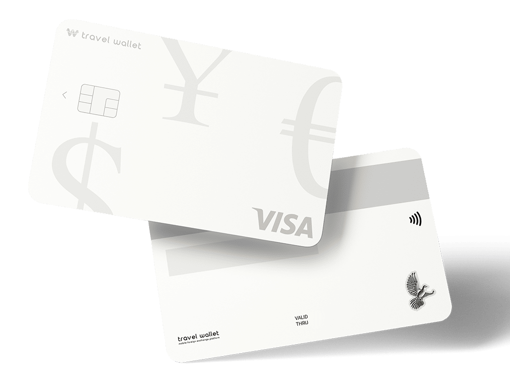 트래벌 월렛 Travel Wallet